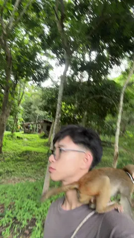 เจ้าจ๋อ🐒
