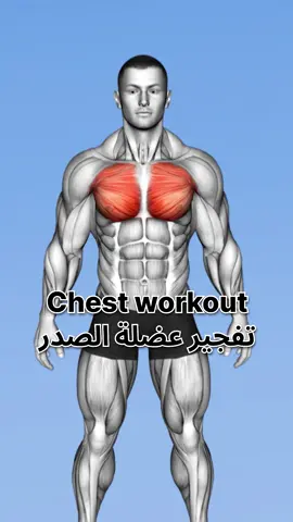 Chest workout 🔥 تفجير عضلة الصدر @Diaa 