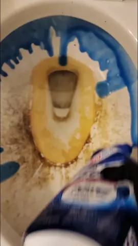 Major reset on a dirty toilet bowl! #CleanTok #cleaning #toiletcleaning #toilet #lysol #dirtywork #satisfying #satisfyingvideo 