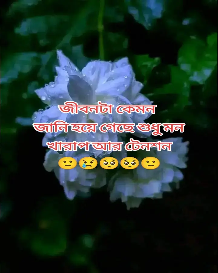 #সাপোর্ট_করলে_সাপোর্ট_পাবে