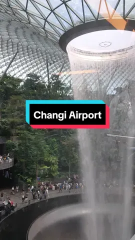 Magical moments at Changi International Airport 🇸🇬 #singapore #jewelchangiairportt1  #wonderfallchangiairportT2 
