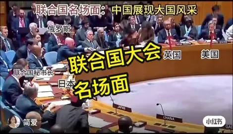 联合国大会名场面 #china #unitednation 
