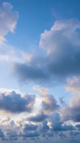 just clear blue clouds in the sky🥺 #clouds #sky #sawanohiroyuki #clearsky #fyp #f #fypシ 