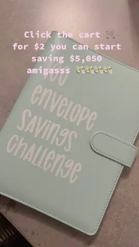 let’s save money together 🙌🏼 #100daychallenge #savemoney #money #foryou #dealsforyoudays #tiktokmademebuyit #motivation 