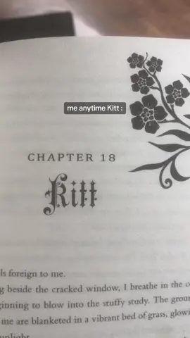 kitt azer possibly the most irrelevant guy to ever exist #recklesslaurenroberts #powerlesslaurenroberts #kaiazer #kittazer #paedyngray #annoyingbookcharacters #booktokfyp 
