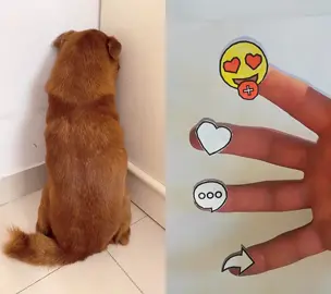 #dogs #pets #dogsoftiktok #fypシ゚viral 