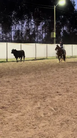 #lacocomprido #abcccoficial #laco #clc #cavalo #choraboy 