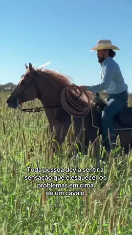 Santo Remédio #cowboy #horses #cavalos #viral 