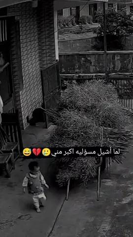 #مالي_خلق_احط_هاشتاقات #خطيبي_حبيب_عمري❤️🔗 #الشعب_الصيني_ماله_حل😂😂 