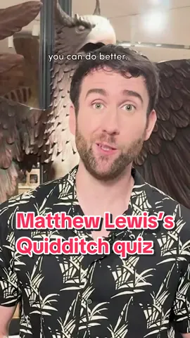 matthew lewis proving he was absolutely perfect for the role of neville #harrypotter #quidditch #matthewlewis @The Harry Potter Shop