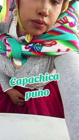 #cholitastiktok #sigueme_y_te_sigo #delemegusta #Recuerdos #❤️ #chlitapaceña🇧🇴💃🌹 #hermosas ##❤️ #apoyo? #bella  #soltera #