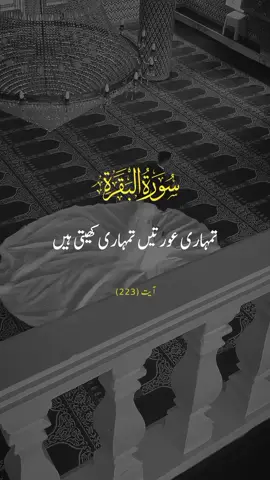 SURAH AL-BAQARAH 🕊️❤️  VERSE 223 #repost #surahalbaqarah #urduqurantranslation #alquran #explore #fyp #viral #foryoupage #qurantarjuma #withranay_ 