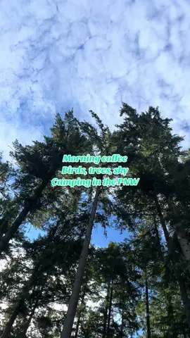 Waking up after your first night of camping 🏕️ #pnw #sanjuanislands #wa #explore #adventure #Outdoors #camping #nature #trees #virgo #bird #CapCut #sky #clouds #familycamping #morningcoffee #perfection #Summer 
