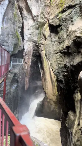 Walkway to Box Canon Falls 😍 #Ouray #colorado #travel #waterfall #fyp #explore 