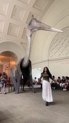 I believe in Quetzalcoatlus supremacy @Field Museum  #dinosaur #quetzalcoatl #paleontology #dinosaurkid #dino #girl #chicago #museum