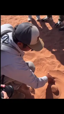 How sand turned into rocks to canyons #nature #funfacts #science 