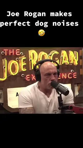 Jolf Rogan🐶 #fypシ゚viral #UFC #joerogan #dog #podcast #podcastclips #jre #jreclips #funny 