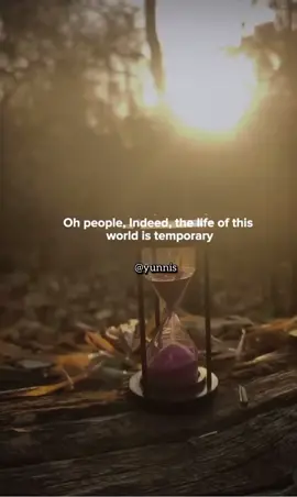 And what is the life of this world except the enjoyment of delusion._  