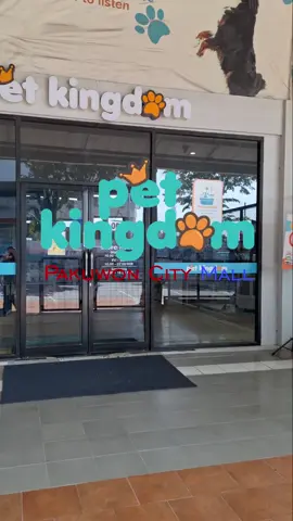 Makin Trendy dan Modis Anabul Pawfriends dengan Pilihan Baju di Pet Kingdom Pakuwon City Surabaya #petkingdom #pakuwoncitysurabaya #anabul #petlover #petlover #bolehjuga #surabaya #viralvideotiktok #clothes 