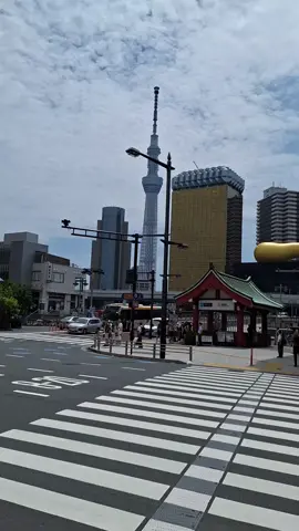 Tokyo, Japan di siang hari. #japan #tokyo #sakura #vidio #fyp #fypシ #shibuya #narita 
