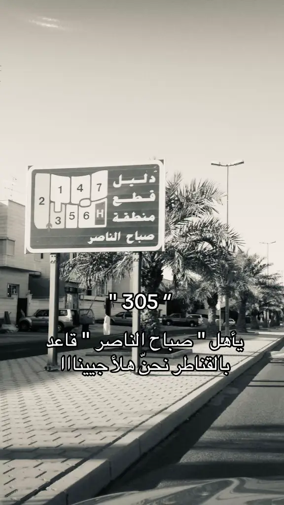 حتى فيروز غنت لنا ❤️❤️. #305 #fyp 