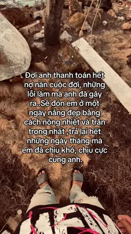 #đời #caphay #story #xuhuong #viral #fypシ #fyp #foryou #anhemxahoi #anhem #xhhhhhhhhhhhhhhhhhhhhhhh 