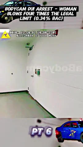#fyp #copsoftiktok 