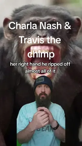 In 2009, Charla Nash went over to her friend Sandra's house to try and help control Sandra's 14-year-old chimpanzee Travis. The horror that unfolded next would become international headlines.  #storytime #scary #truestory #truecrime #animals #attack #travis #chimpanzee #charla #horror #inspirational #CapCut 