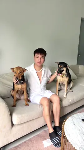 ใครบอกว่าบูมรักลูกไม่เท่ากัน?? #เทยกะทะ #สัตว์เลี้ยงtiktok #เป๊บซี่หมูทะ #หมูกระทะเทยกะทะ #อีเป๊บซี่่ #หมูกระทะเทยกะทะสาขารัชดา36 