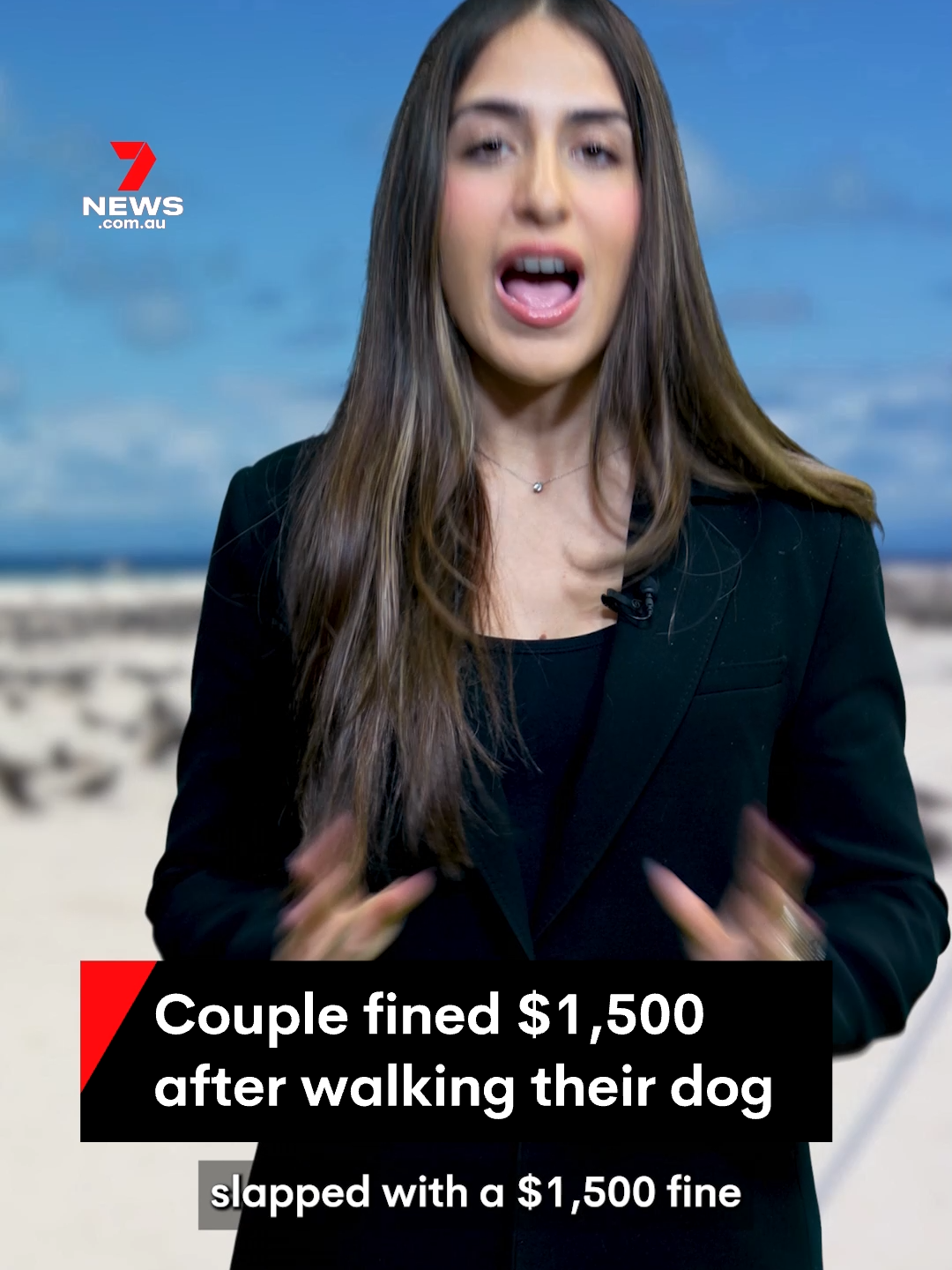 A couple in Queensland have been handed a $1,500 fine for walking their dog on a protected beach in the Great Barrier Reef National Park. The islet of Michaelmas Cay is considered to be one of the most important seabird breeding areas on the reef. #greatbarrierreef #fine #dogwalking #7NEWS
