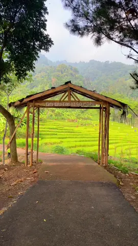 Syahdu banget view nya🍃 . . . 📍@gunungbutik  #gunungbutik #gunungbutik1250mdplbogor #gunungbutikbogor #naturevibes #nature #pesonaalamindonesia #gunungindonesia #pendakisantuy #pendakigunung #pendakiindonesia #pendakicantik #pendakigunungindonesia #explore #butik #puncakbutik1250 #gunungbogor #bogor #jonggol #sukamulyabogor #exploregunung #like #fyp #fypシ゚viral #jawabarat #explorejonggol #wisatajawabarat #wisatabogor 