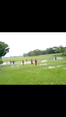 গ্রামের ঝগড়া 