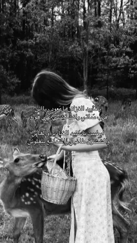 ياقاييد الغزلان ياععود ريانن 🌷#لايك__explore___ 