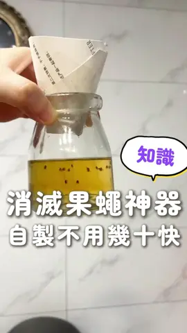 OMG最近果蠅真的很猖狂!!! 到五金行買的捕蠅器一下子就揮發沒效果😩 直接自己動手DIY比較快!!! 趕快消滅這個打不完的細菌傳染害蟲 #健康 #環境保護 #果蠅 #知識 #生活小妙招 #害虫