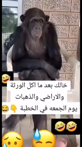 #شعب_الصيني_ماله_حل😂😂 