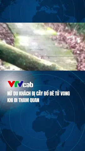 Đi tham quan, nữ du khách bị cây đổ đè tử vong#vtvcabxahoi#vtvcab#tiktoknews