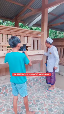 BLANTIK CILIK vs YOGIS KANDANG... #blantiikwedok  #barongancup  #fypシ  #jackcmf  #blantikcilik  #fypシ゚viral  #fypシ゚viral  #gusiqdam  #kandangbakoh  #kambingkontes  #kambingkaligesing  @•𝐿❣𝓃𝓉𝒶𝓃𝑔_𝒶𝐿❣𝒶𝓃 •• @Dek yaya @blantik cilik 