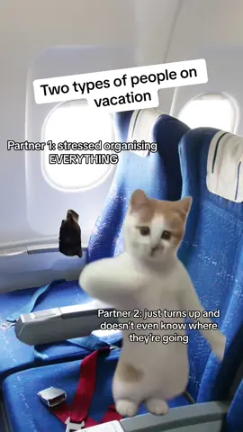 There are two types of people on vacation  #vacation #traveltiktok #cat #catsoftiktok #meme #funny #relatable #jacksflightclub 