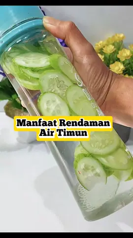 manfaat rendaman air timun 😱⁉️ #tips #tipsandtricks #tipssehat #infosehat #kesehataan #timun 