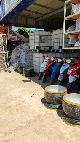 ហាងបងស្រីដាលីន លក់ម៉ូតូខេត្តកំពត#catsoftiktok #fypシ゚viral 