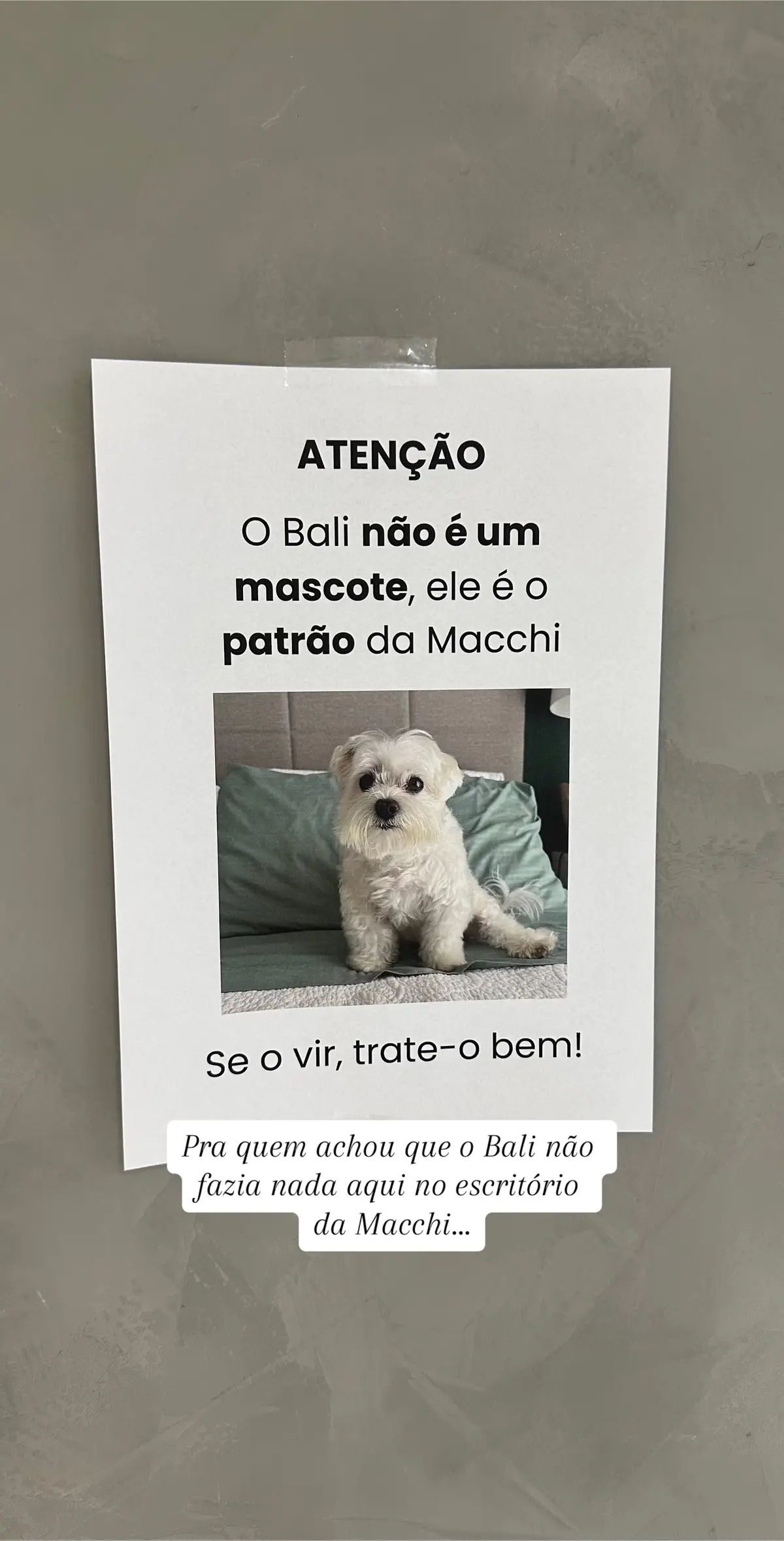 ib: @FUMAÇA, O PATRÃO 