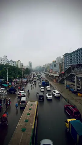 এই অবেলায় ফোটা কাশফুল 🌤️  #bdtiktokofficial🇧🇩 @TikTok Bangladesh @TikTok #fyp #treanding #foryou #viralvideos #trendingsong #rainyday #nature #cars #road #Dhaka #busyroads 