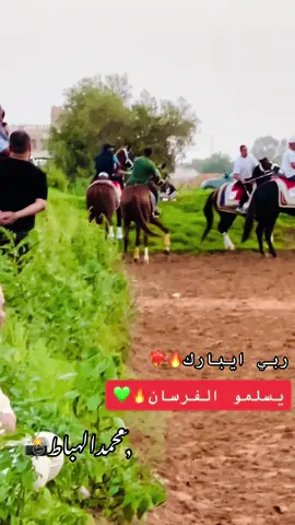 #بسم_الله_ماشاء_الله♥️🧿                   #الفارس_محفوظ_منصور❤️‍🔥🔥.             #الفارس_محمد_العجيلي_الهباط💜🔥 #الفارس_محمد_حمد_الكبير💚🔥🥇.        #عقد_العماريين_قماطه❤️🔥❤️‍🔥💚 #الهبابطه😍 #قماطه_الكبيدة🥰✊ #مصراته_الصمود🇱🇾🇱🇾🔥😌 #تفاعلكم_يساعدنا_على_الاستمرار💯💯 