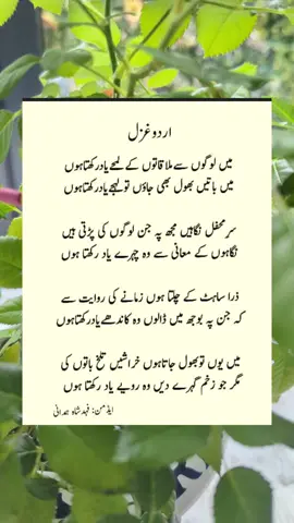 #urdupost #foryou #urdughazal #foryoupage #urdupoetry #viraltiktok #urduline #tabbasam321 