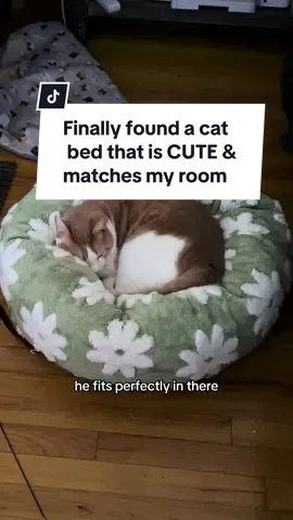 YOU NEED THIS CAT BED & MATCHING BLANKET #catsoftiktok #tiktokshop 