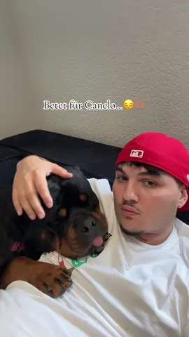 Wie haben noch keine Ergebnisse:( #goviralgo #viral #trending #fyp #foryoupage #trend #goviral #foryou #startseite 