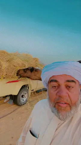 #حكم #ابن_زيد #اكسبرس #حكم_وأمثال_وأقوال #الانتشار_السريع #اكسبلور_تيك_توك 