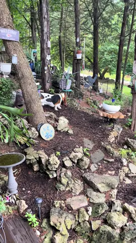 #bassethoundsoftiktok #dogsoftiktok #bassethounds #stoppuppymills 