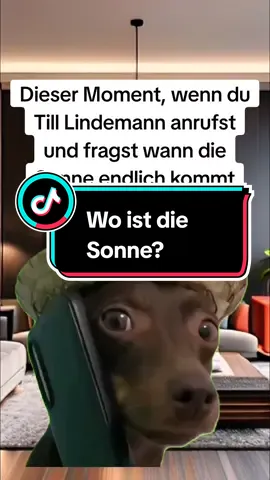🌞Wo ist sie denn? 😬 #sonne #Meme #sommer #deutschememes #deutsch #diesermoment #fyp