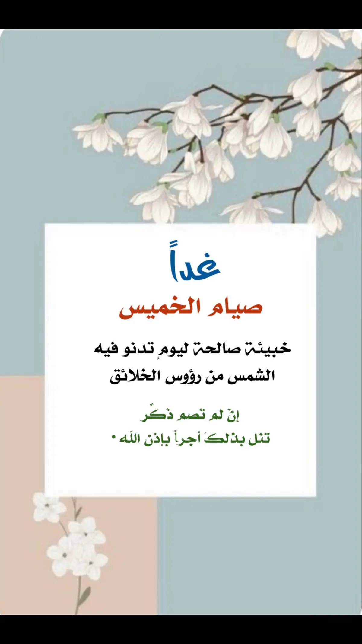 #صيام_الاثنين#صيام#تلاوة #ختم_القران #ذكر_الله #الذكر_المضاعف #الباقيات_الصالحات #فضل_الاستغفار  